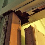 Door-frame-eaten-out-by-Termites