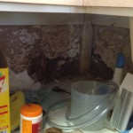 Termite-damage-at-back-of-kitchen-cupboard