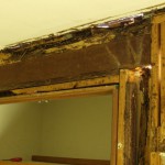 Termite-damage-to-wall