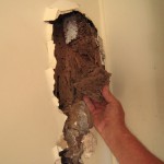 Termite-damage-wall