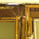 termite-damge-to-wall-frames